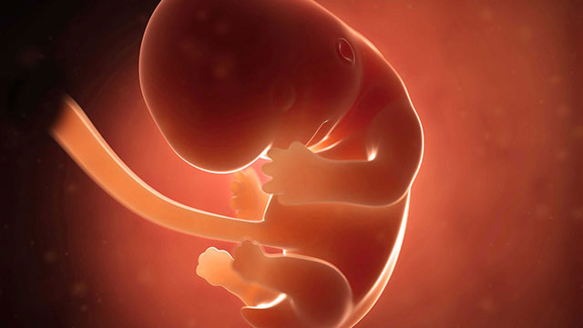 Pro-life lawsuit calling Minnesota’s abortion laws coercive heard in federal court