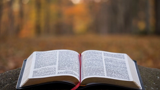UK Bible Sales Are Up 134% Since 2019